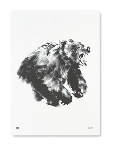 Teemu Järvi Plagát s motívom medveďa Roaring bear 50x70