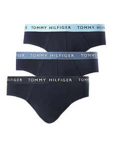 Tommy Hilfiger Wb Brief M UM0UM02389 nohavičky
