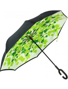 Obrátený dáždnik - listy