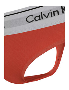 Calvin Klein Underwear Calvin Klein Spodná bielizeň Tangá 0000F3786E1TD Orange