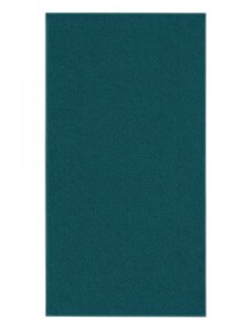 Zwoltex Unisex's Towel Kiwi 2 NE-066T