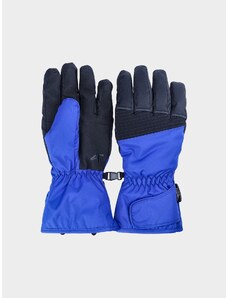 4F Pánske lyžiarske rukavice Thinsulate
