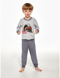Pyjamas Cornette Kids Boy 478/145 Train L/R 86-128 grey
