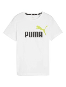 PUMA Tričko 'Essential' limetová / čierna / biela