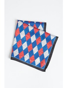 ALTINYILDIZ CLASSICS Men's Navy Blue-burgundy Patterned Handkerchief