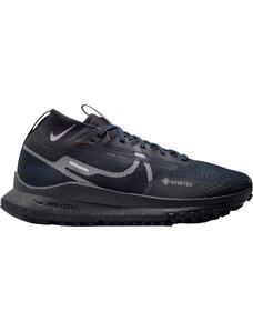 Trailové topánky Nike Pegasus Trail 4 GORE-TEX fz4343-400