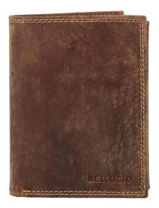 Pánska kožená peňaženka tmavohnedá - Bellugio Heliodor hnedá