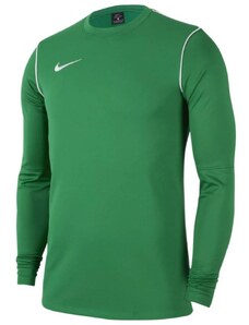 Tričko s dlhým rukávom Nike M NK DF PARK20 CREW TOP R fj3004-302