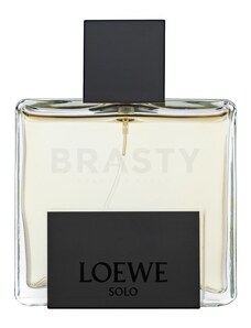 Loewe Solo Loewe Mercurio parfémovaná voda pre mužov 100 ml