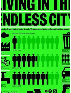 Inne Kniha Taschen Living in the Endless City by Ricky Burdett in English