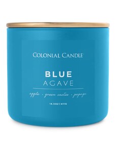 Colonial Candle - Pop of Color - Blue Agave (411 g)