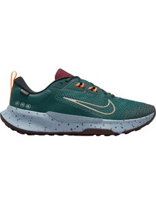 Trailové topánky Nike Juniper Trail 2 GORE-TEX fb2067-300