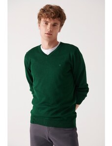 Avva Men's Green V-Neck Wool Blend Standard Fit Regular Cut Knitwear Sweater