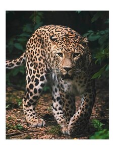 Jerry Fabrics Mikroflanelová deka Leopard 01 120x150, 100% Polyester,