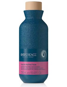 Revlon Professional Eksperience Color Protection Color Intensifying Hair Clenaser 250ml