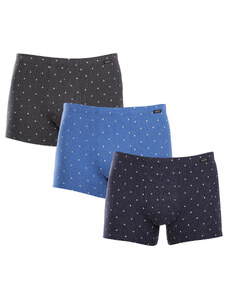 3PACK Men's Boxers Andrie Multicolor
