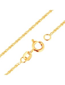 Šperky Eshop - Retiazka v žltom zlate 375 - prepojené oválne očká, 500 mm S3GG171.09