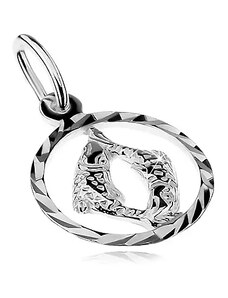 Šperky Eshop - Prívesok zo striebra 925 - kruh so znamením zverokruhu - RYBY AB31.20