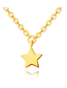Šperky Eshop - Náhrdelník zo 14K žltého zlata - prívesok v tvare hviezdičky, lesklá retiazka s plochými očkami S3GG249.49