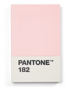 PANTONE Vizitkové puzdro Light Pink 182