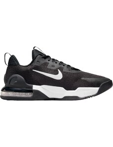 Fitness topánky Nike M AIR MAX ALPHA TRAINER 5 dm0829-001