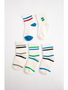 DeFacto Chlapčenské bezšvové bavlnené dlhé ponožky po 5 kusoch C4263a5ns