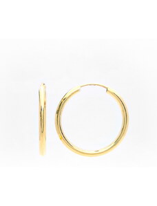 Šperk Holíč Zlaté kruhové náušnice, 0,55 g, 14k