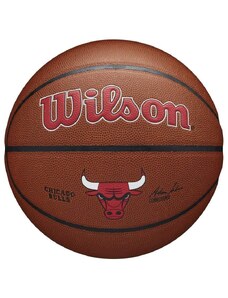 Wilson NBA Team Composite Chicago Bulls