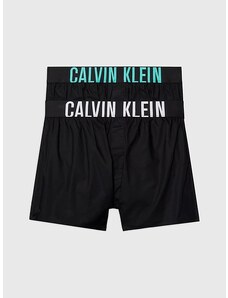 Calvin Klein Underwear | Intense Power trenky 2ks | M