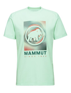 Tričko Mammut Trovat T-Shirt M / neo mint