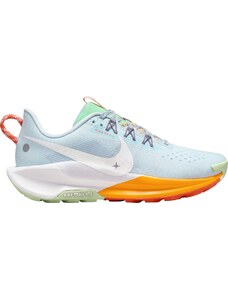 Trailové topánky Nike Pegasus Trail 5 dv3865-402