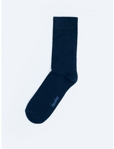 BIGSTAR BIG STAR Pánske ponožky BELONG 403 39-42