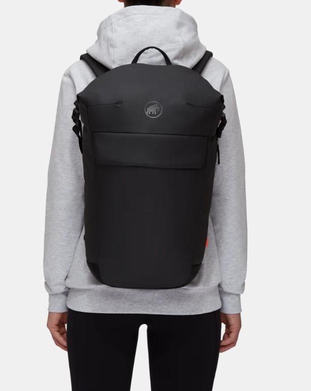 Mammut Seon Courier 20 black