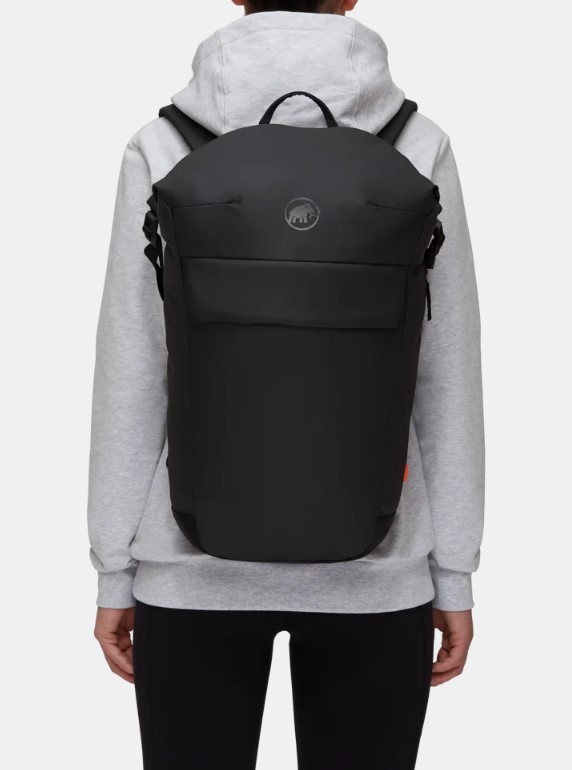 Mammut Seon Courier 20 black