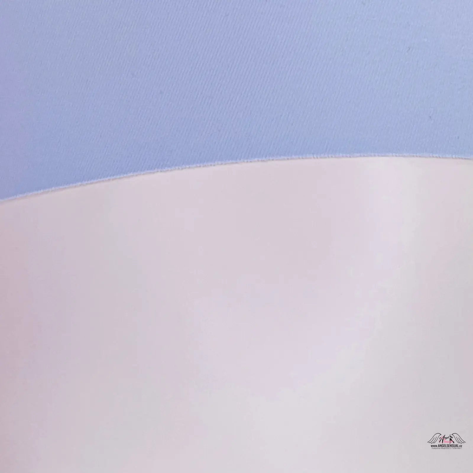 Victoria's Secret Sľubné bezšvíkové nohavičky so zlatou výšivkou