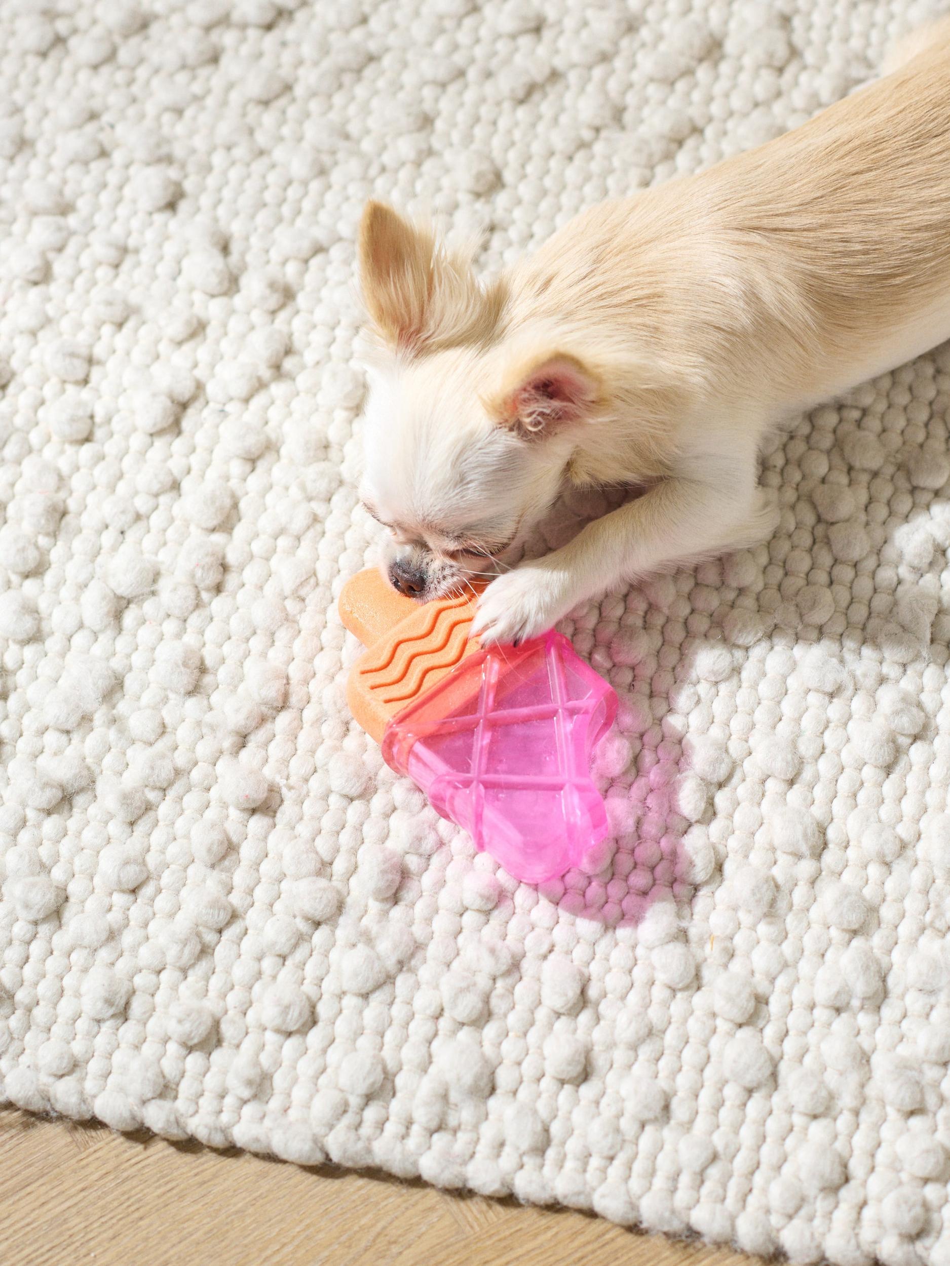 Sinsay - Hračky pre psov - ružová