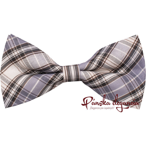 10524-94 Motýlik v štýlovej vzorovej mriežke. 1981824