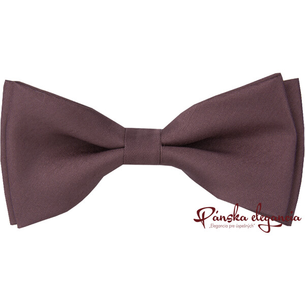 10524-111 Hnedý motýlik s vreckovkou do saka. 1983612