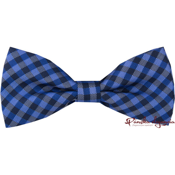 10525-31 Motýlik s vreckovkou do saka. 1983470