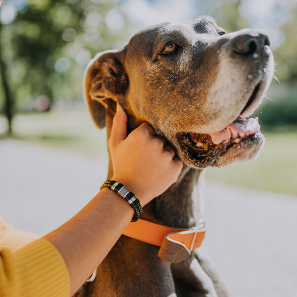 Glory Pánsky športový kožený náramok Cool man čierny s čiernym 47033676