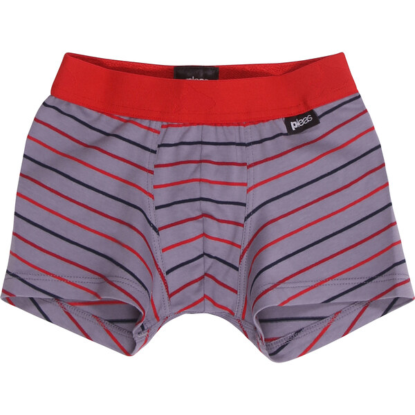 Chlapčenské slipy s nohavičkou | Pleas | šedá s proužkem | 46770945