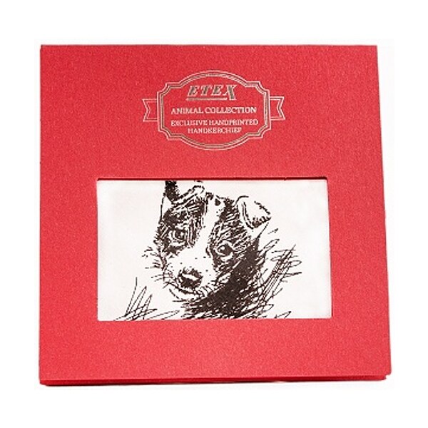 Etex Vreckovka L35 darčeková krabička Pes (1 ks) 66159456