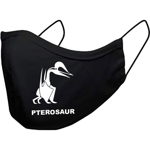 T-ričko Pterosaur, detské rúško 3-vrstvové s gumou 21385595