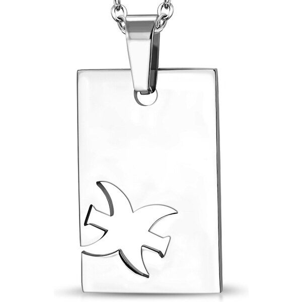 CITY STORM Oceľová retiazka s príveskom platnička znamenie Ryby 66888992