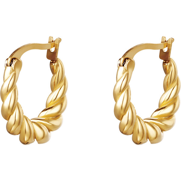 Dámske náušnice z chirurgickej ocele RAELYN 24507233