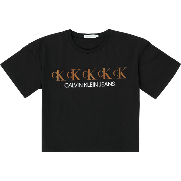 Calvin Klein Jeans Tričká s krátkym rukávom CK REPEAT FOIL BOXY T 62488595