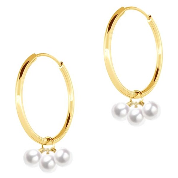 SWAROVSKI Elements Swarovski e. kruhy z chirurgickej ocele Ballet 24593955