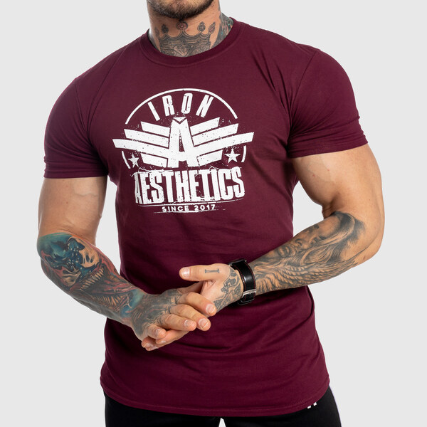 Pánske fitness tričko Iron Aesthetics Force, bordové 24553976