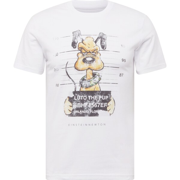 EINSTEIN & NEWTON Tričko koňaková / svetlosivá / trávovo zelená / 62681352