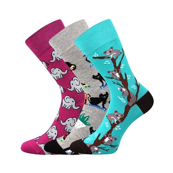 WOODOO farebné veselé ponožky Lonka - KOALY 26252096